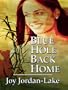 Blue Hole Back Home: Inspired by a True Story (Thorndike Christian Fiction)