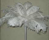 12 Eiffel Tower Kits-includes-Ostrich Feathers-Tops-Lights and vases