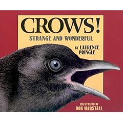 Crows!: Strange and Wonderful