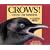 Crows!: Strange and Wonderful