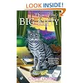 The Big Kitty (Sunny & Shadow Mysteries)