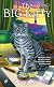 The Big Kitty (A Sunny & Shadow Mystery)