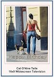 Cat O`Nine Tails: Widescreen TV.: Greeting Card: Happy Birthday