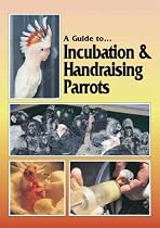 Guide to Incubation & Handraising Parrots