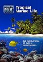 Discover The Blue - Tropical Marine Life