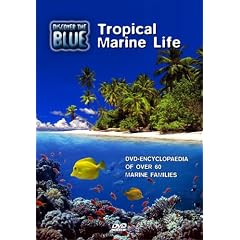 Discover the Blue-Tropical Marine Life [DVD]