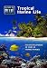 DVD : Discover The Blue - Tropical Marine Life
