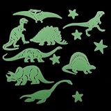 Glow in the Dark 14 Pack of Dinosaurs and Stars