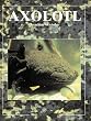 Axolotl