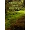 Favorite Children's Books
