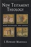 New Testament theology : many witnesses, one Gospel