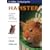Hamster (Collins Famliy Pet Guides)
