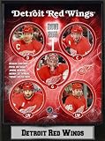 Encore Select 510-HKYDet2011 2011 Detroit Red Wings 9X12 Plaque