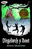 Dirgelwch y bont