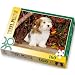 15128 Coton de Tulear Dog 160pcs