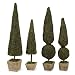 Mossy Topiary - Sets of 2