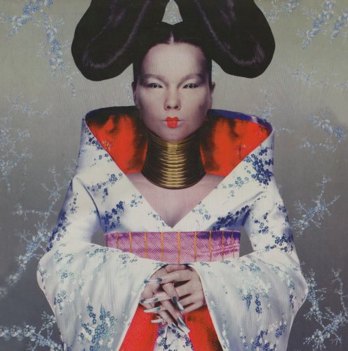 Bjork - Homogenic [Vinyl] - Zortam Music