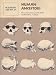 Human Ancestors: Readings from Scientific American