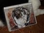 Humane Society Note Cards--Cats and Dogs Shelter Animals--100% Nonprofit