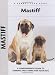 Mastiff: A Comprehensive Guide to Owning and Caring for Your Dog (Comprehensive Owner's Guide)
