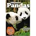 Ultimate Pandas