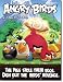 Angry Birds Deluxe Basket- Ideal For Birthday, Christmas, Easter or Get Well!_s-3