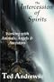 The Intercession of Spirits: Working With Animals, Angels & Ancestors