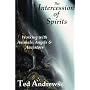 The Intercession of Spirits: Working With Animals, Angels & Ancestors