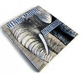 Henry Moore _ animals