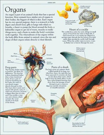 Cover image : Animal Encyclopedia