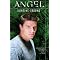 Angel Graphic Novels Chronology