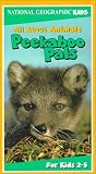 All About Animals - Peekaboo Pals