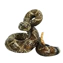 Michael Carr Designs 80057 Western Diamondback Rattlesnake Outdoor Statue, Large