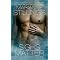 Books About Romantic Passion