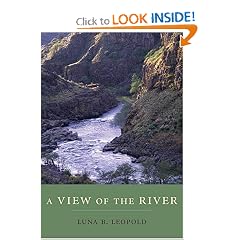 A View of the River