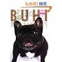 BUHI(�u�q) 4 (OAK MOOK 175)