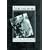 Antonioni: The Poet of Images