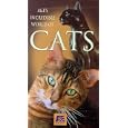 Buy Incredible World of Cats