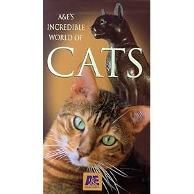 Incredible World of Cats
