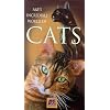 Incredible World of Cats [VHS]