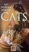 Incredible World of Cats