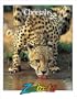 Cheetahs (Zoobooks Series)