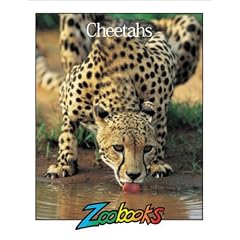 Cheetahs (Zoobooks)