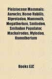 Pleistocene mammals: Aurochs, Diprotodon, Mammoth, Megatherium, Smilodon, Machairodus, Mylodon, Homotherium, Dinofelis, Paranthropus