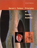 Principles of Human Anatomy
