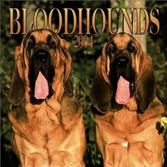 Bloodhounds Wall Calendar: 2004
