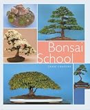 THE BONSAI SCHOOL