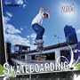 Skateboarding 2008 Calendar