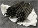 Coates Willow Charcoal- Box of 30 Short Sticks
