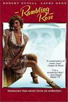 Rambline Rose